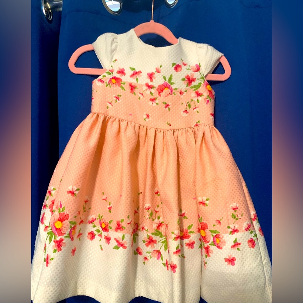 Baby girls fancy floral dress. 24 months